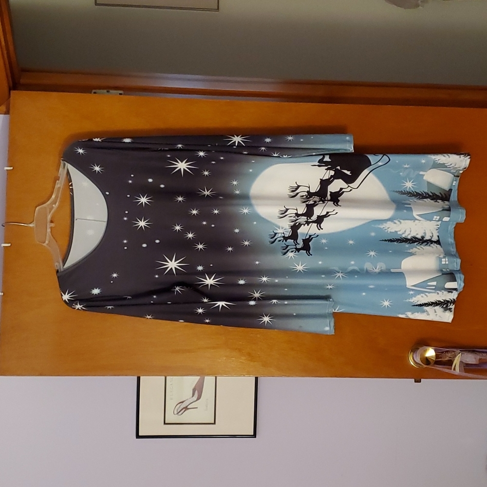 Christmas dress